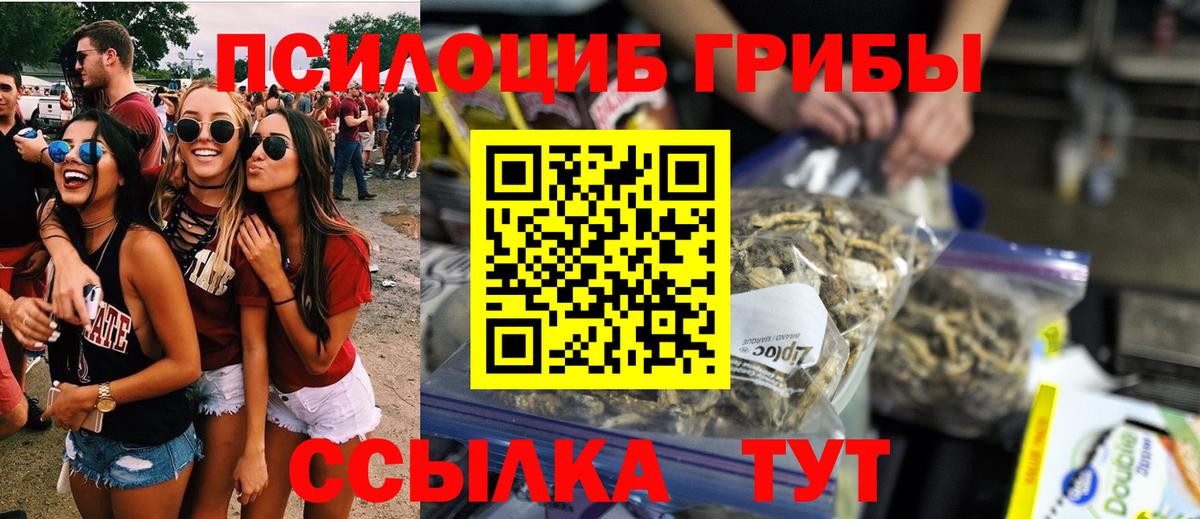 Чехов  Псилоцибиновые грибы Cubensis  Вход с VPN  Галлюциногенные грибы мицелий 