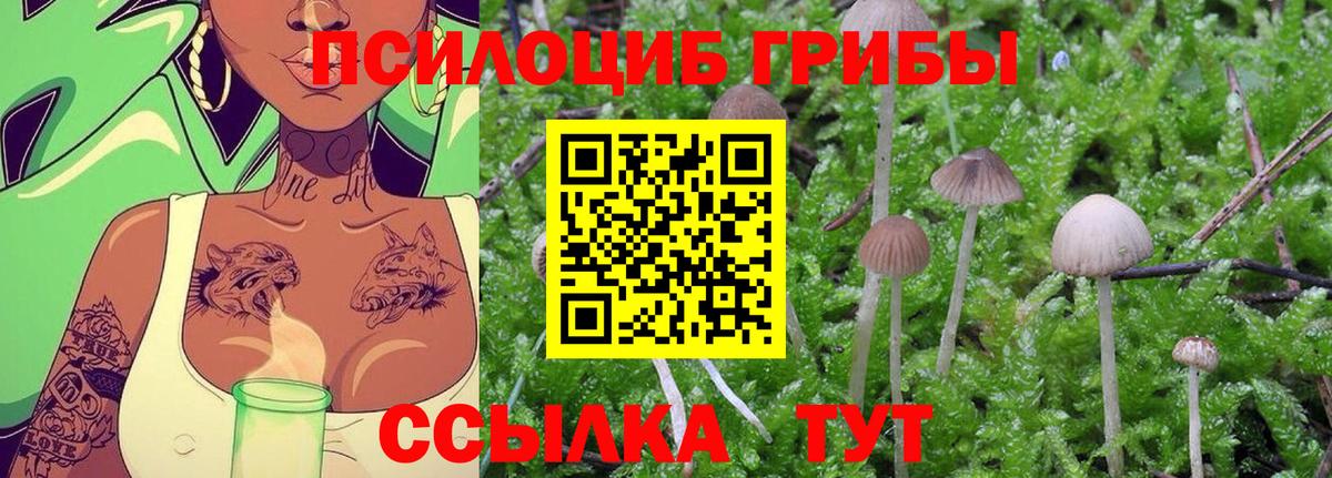 Галлюциногенные грибы GOLDEN TEACHER Чехов